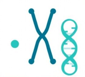 우체국 암보험 비갱신형