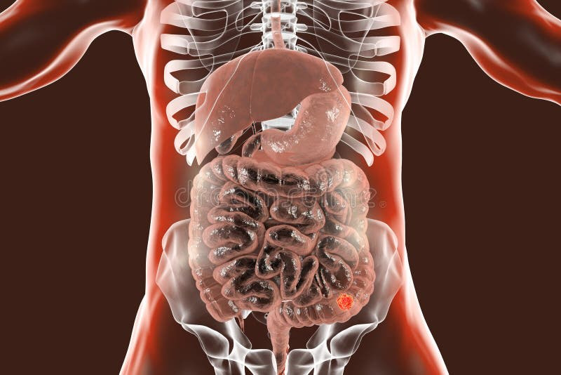 박규주 교수 논문