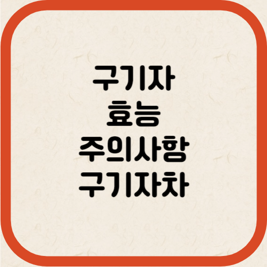 구기자 썸네일