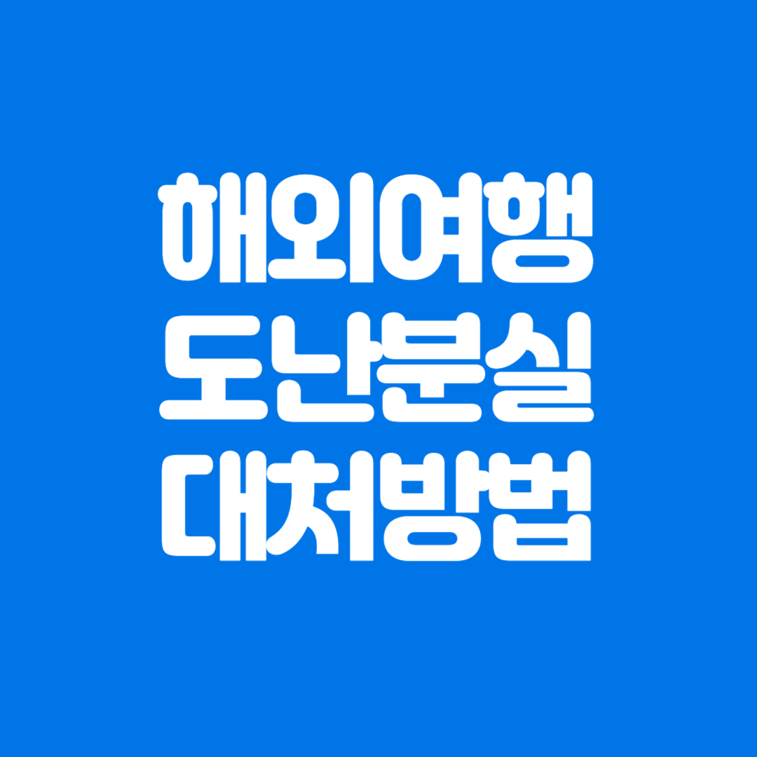 해외여행 중 도난·분실을 당했을 때 대처 방법