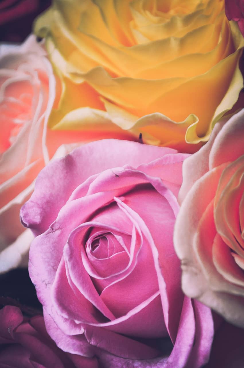 세계 여성의 날! 2025 할인 & 이벤트 총정리