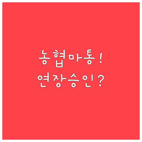 농협 마이너스통장 연장 승인 잘 받는..