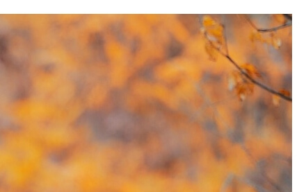 근로자휴가지원