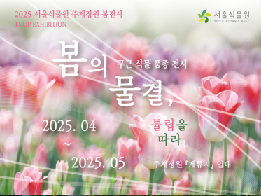 이미지 삽입