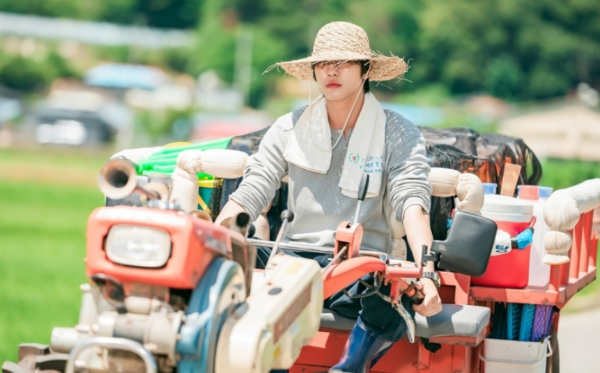 오늘도 매진했습니다 몇부작, 줄거리, 출연진, 등장인물관계도, OTT, 촬영지, 시청률, 재방송 편성표까지 완벽 분석(안효섭, 채원빈, 김범)