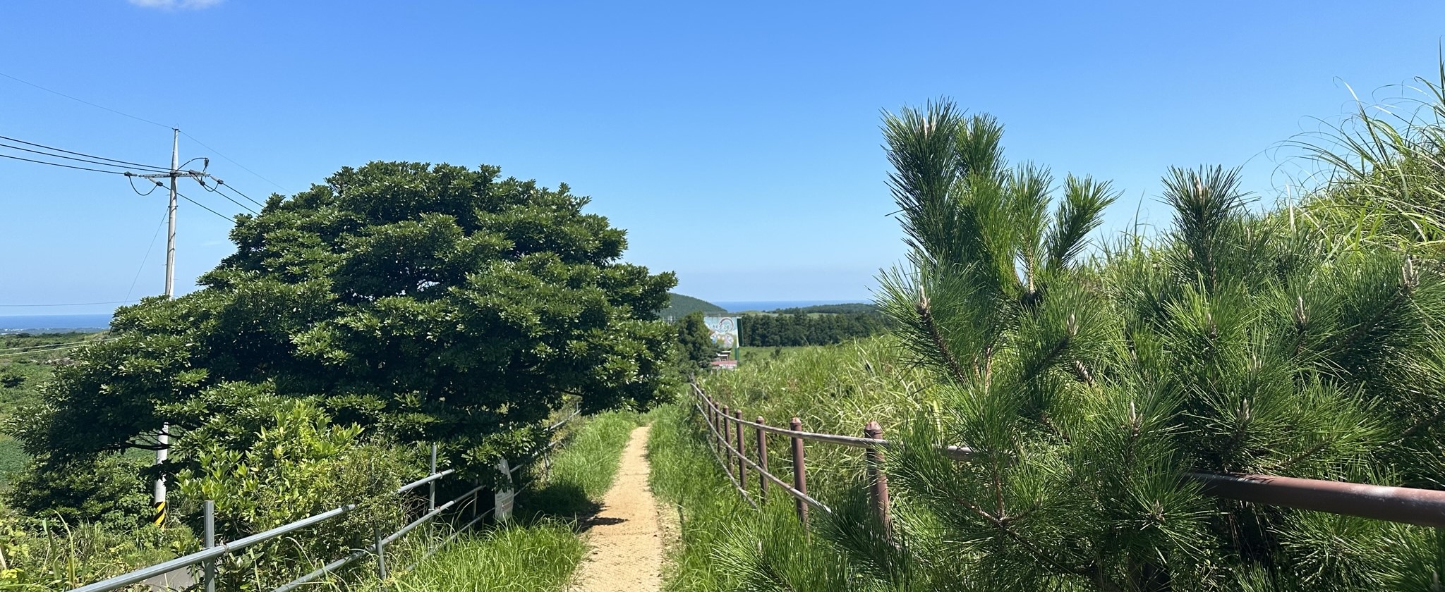 산책로