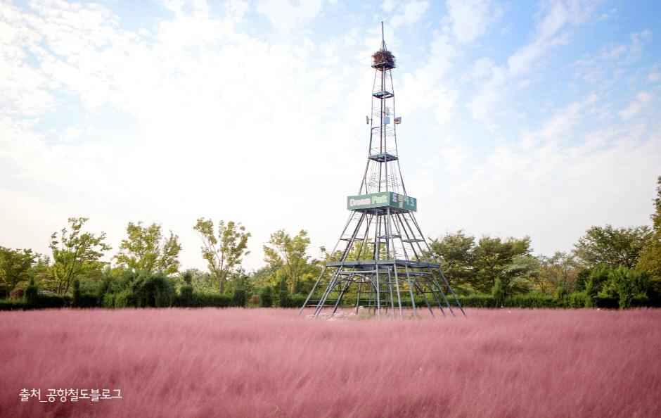 인천 드림파크 야생화단지