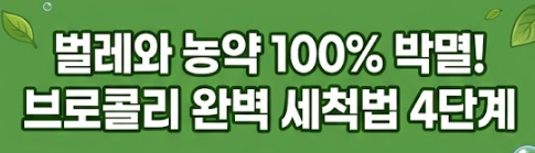 브로콜리 씻는방법