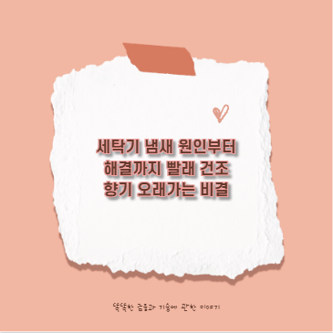 세탁기 냄새 원인부터 해결까지 빨래 건조 향기 오래가는 비결