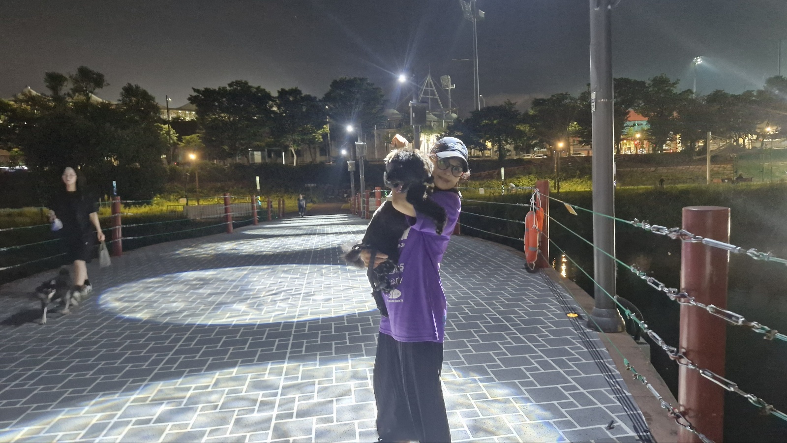 강아지 침대,쇼파에서 땅파기행동하는 진짜이유 7가지