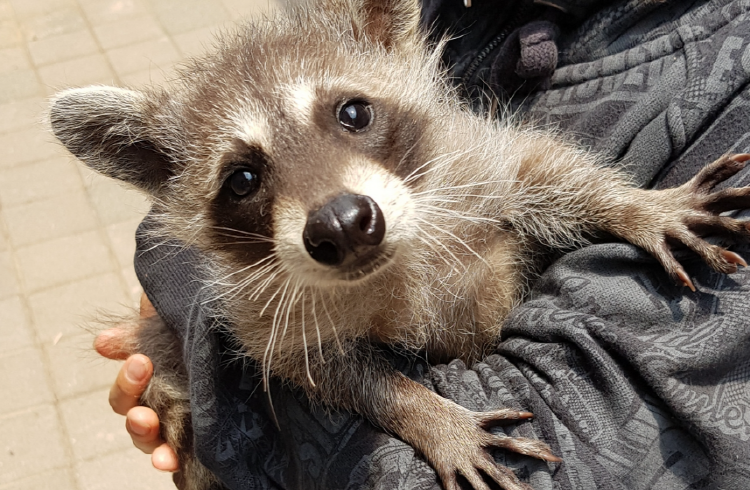 파주 퍼스트가든