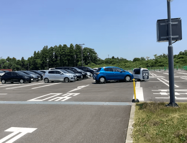 제주 렌트카: 전기차 vs 내연기관 &amp;자차보험 총정리!