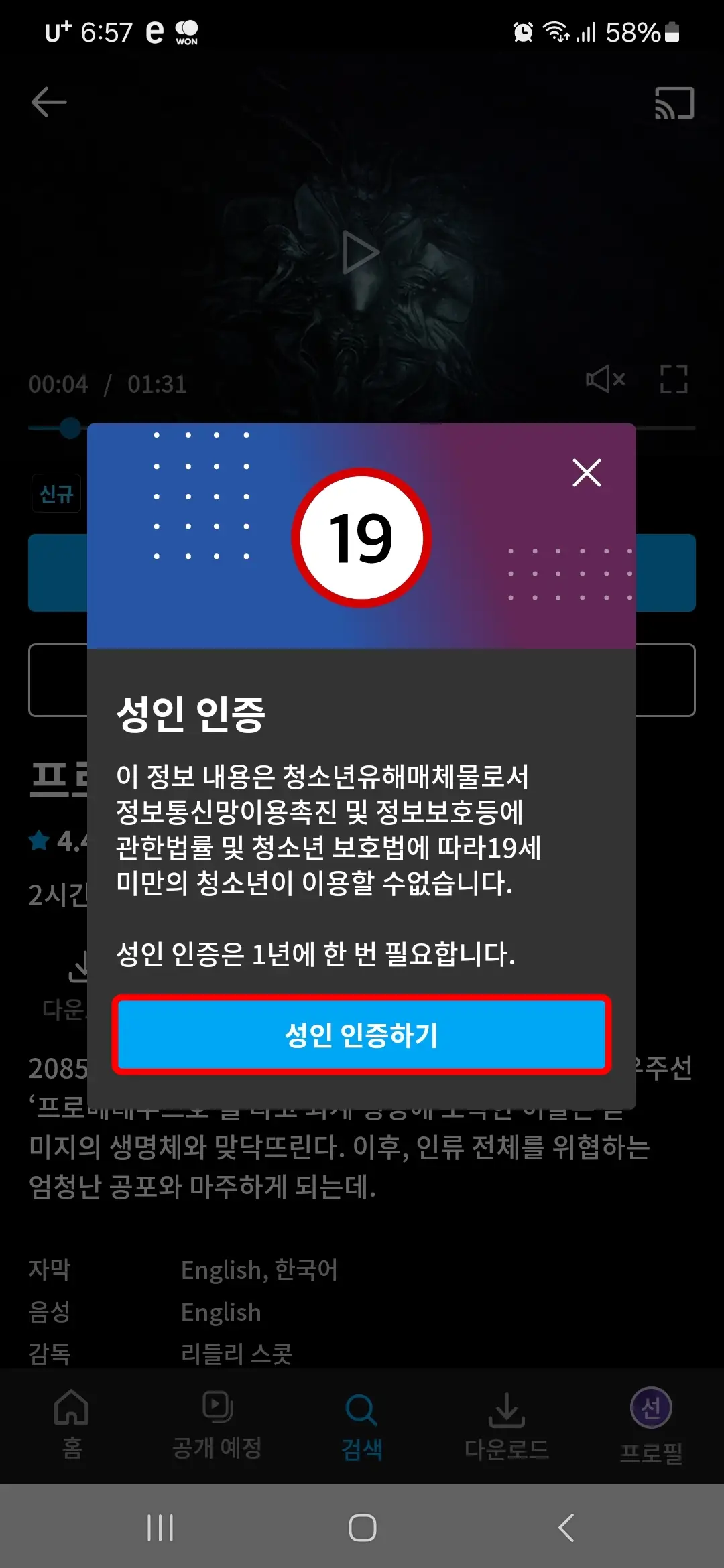 성인 인증하기