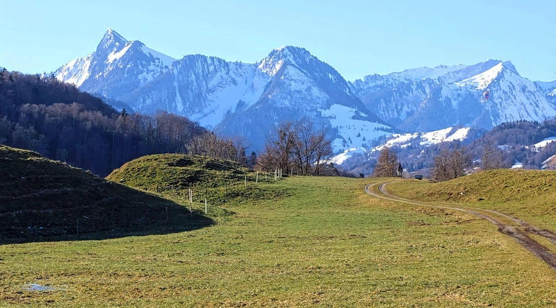 1. 최신 빌라 외벽 페인트 트렌드