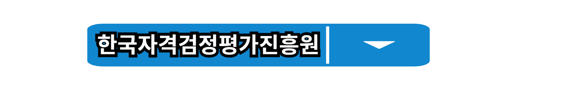 한국어지도사 자격증 - 취득 방법부터 전망까지