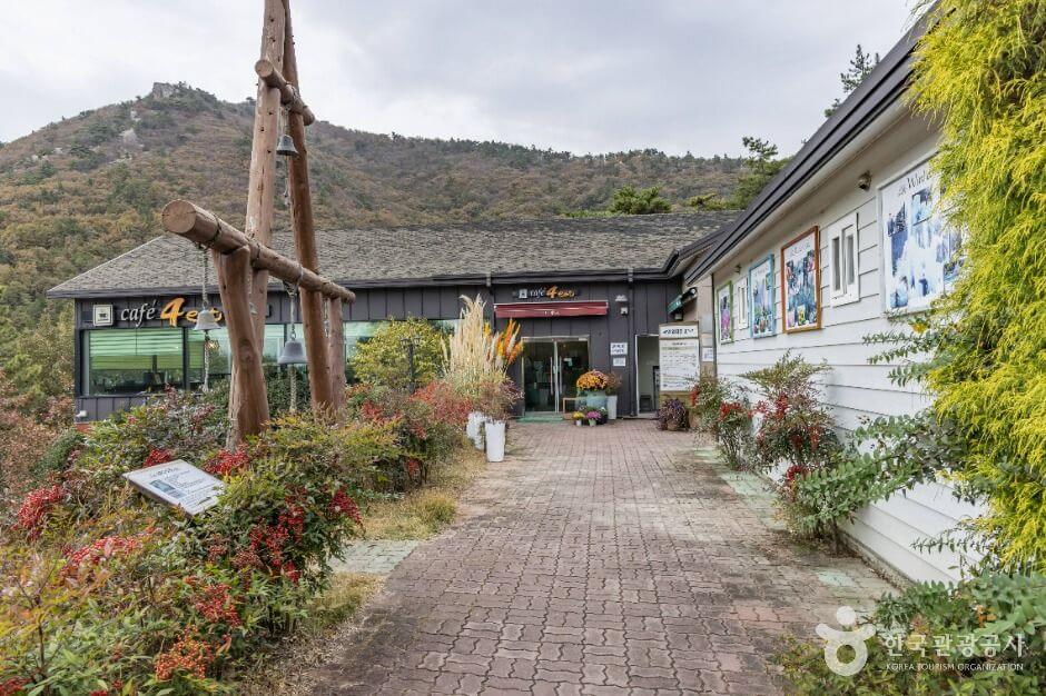 해남 포레스트수목원 입장료 총정리