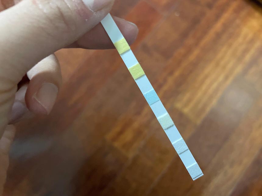 수질 검사 키트 스트립