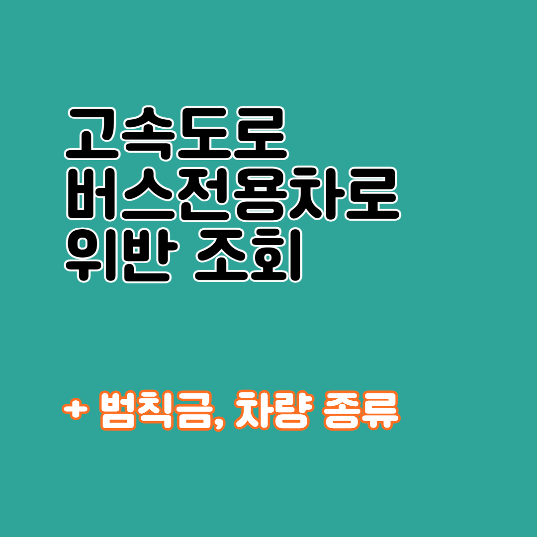 고속도로 버스전용차로 위반 조회