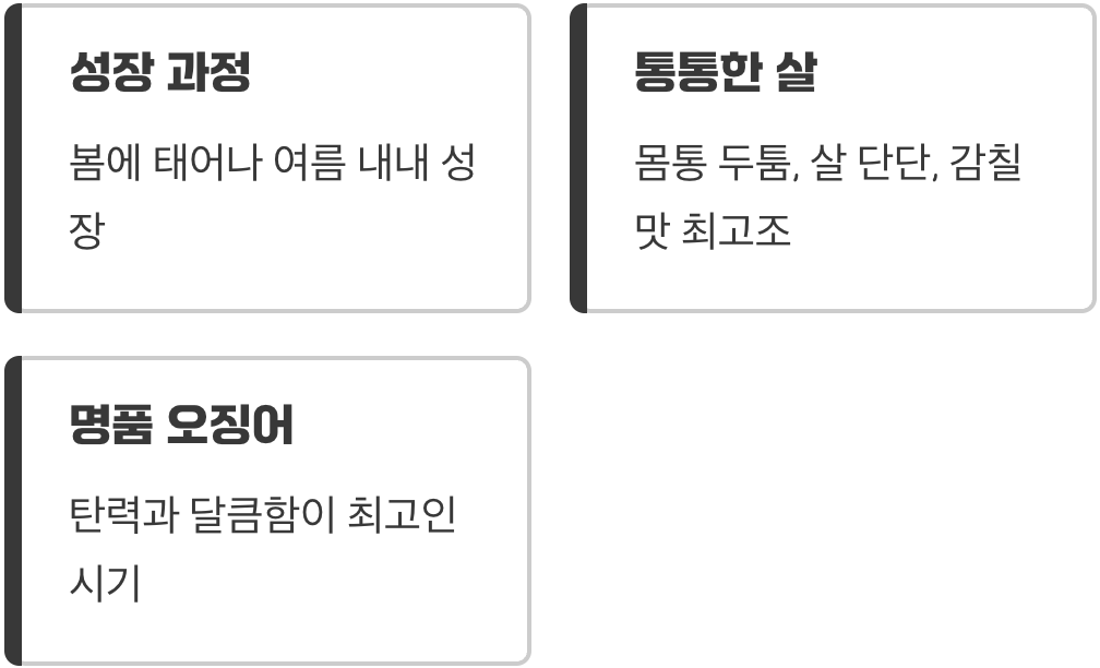 맛의 정점&amp;#44; 늦여름부터 늦가을까지 (7월~11월)