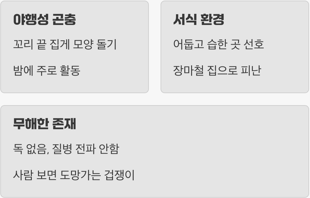 먼저 적을 알자&amp;#44; 집게벌레의 정체