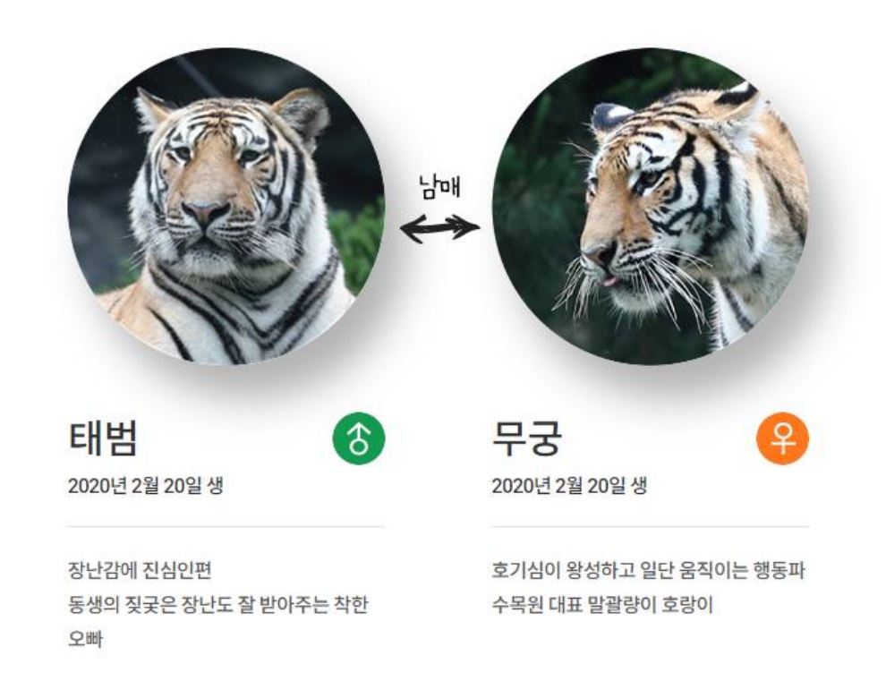 백두대간 봉자페스티벌