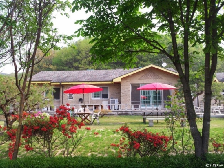 용인 인생 맛집 추천 베스트