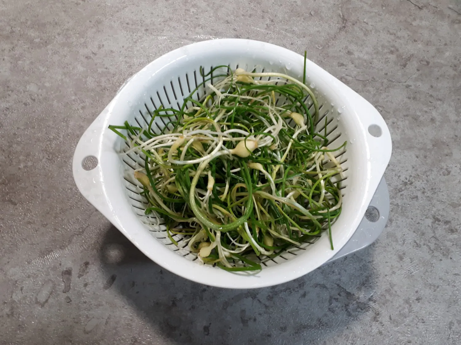 달래 손질 방법 달래장 맛있게 꿀팁_3