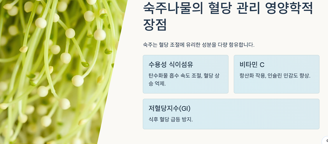 숙주나물의 혈당 관리 영양학적 장점