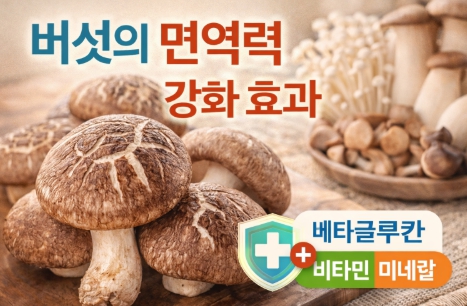 버섯 건강식단 이미지