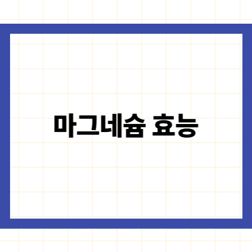 마그네슘 효능