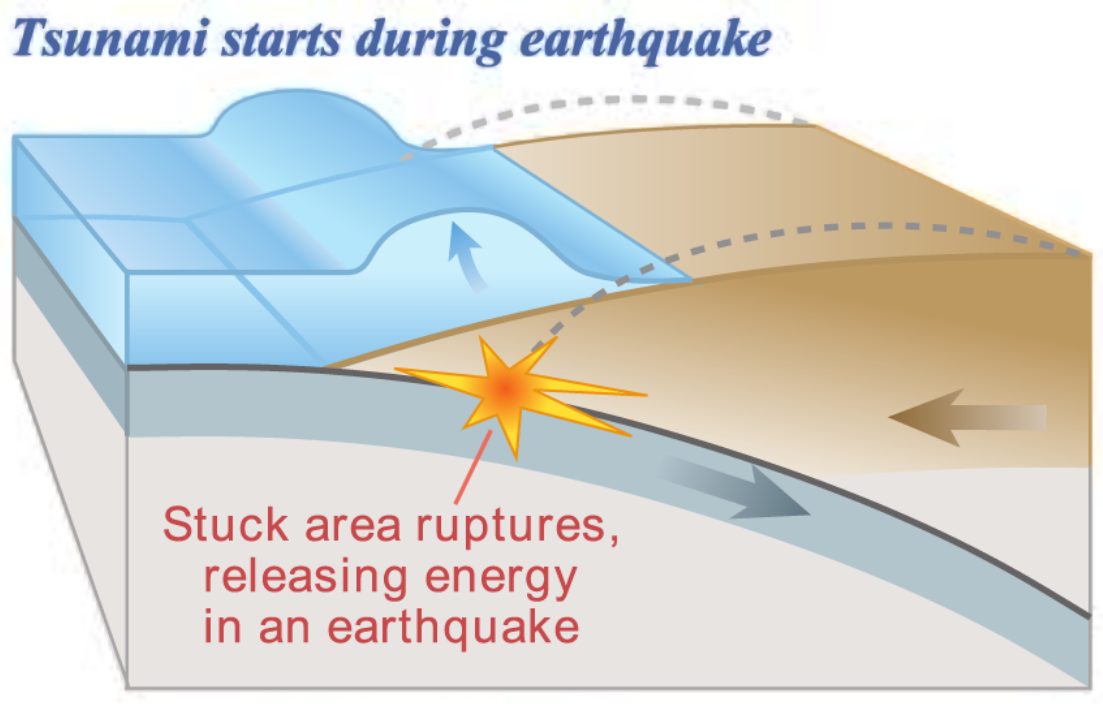 쓰나미의 발생 원리와 해안 피해로 보는 해저 지질의 영향 관련 사진