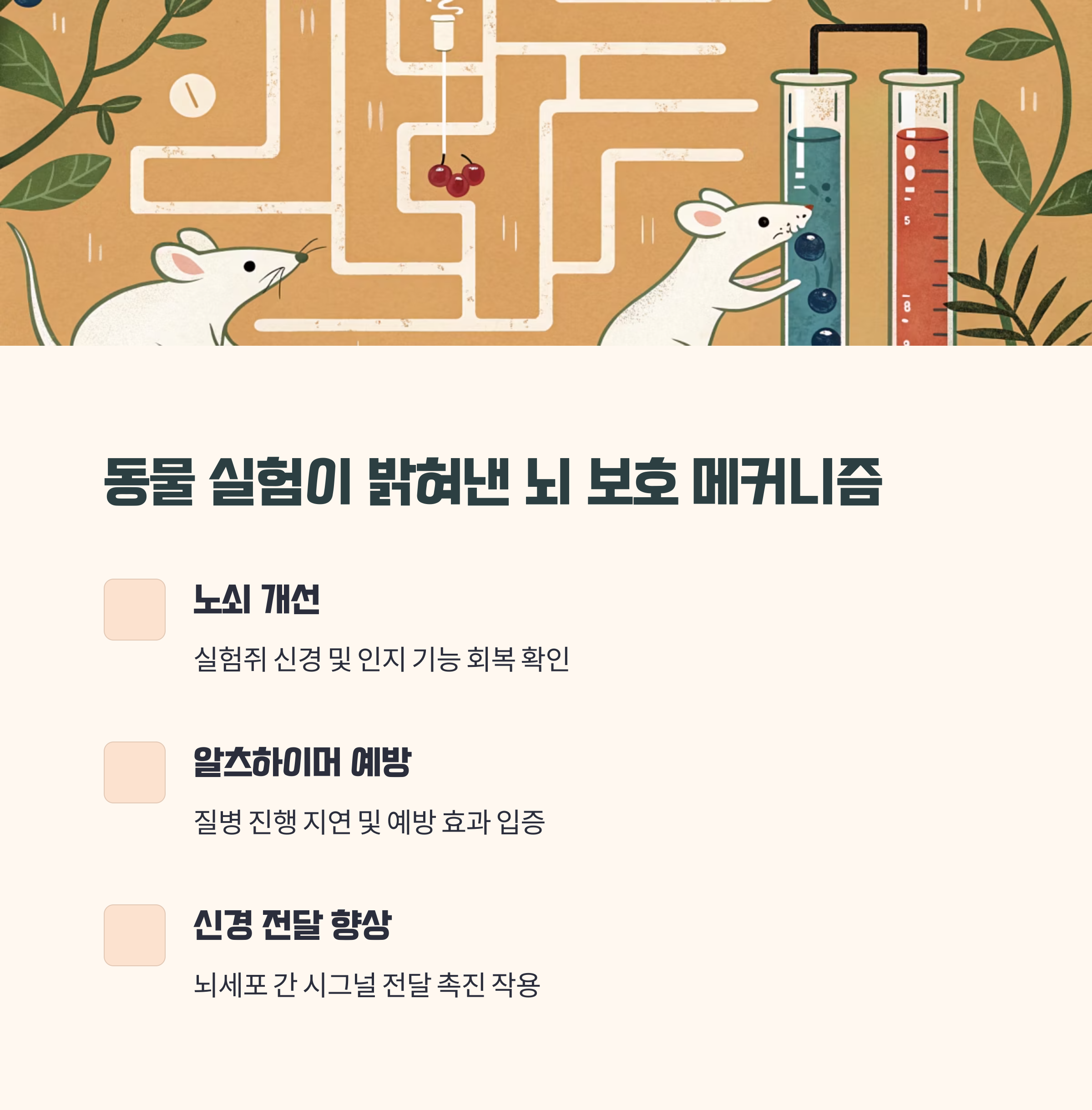 동물 실험 결과 분석 - 쥐 실험에서 밝혀낸 뇌 기능 강화 원리