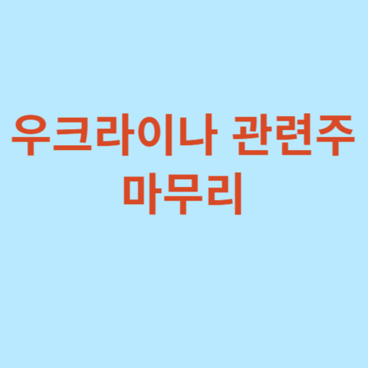우크라이나-재건-관련주