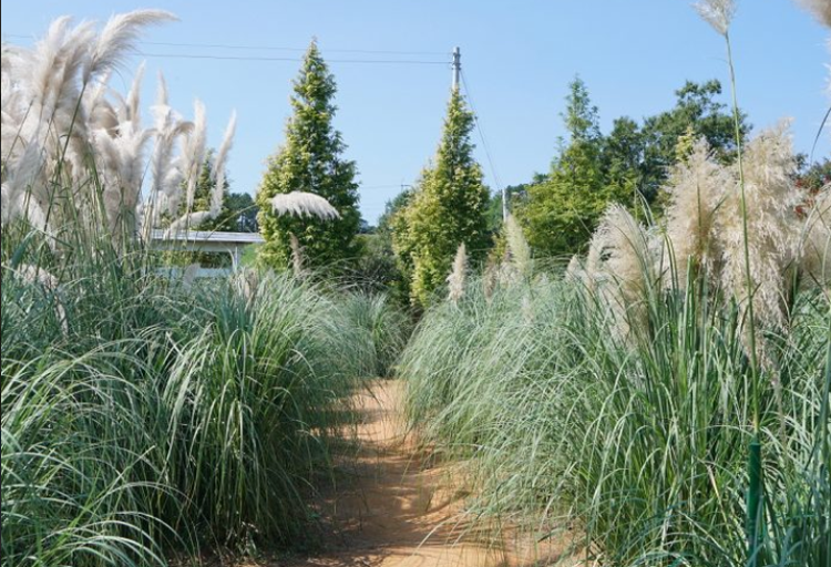 태안 청산수목원