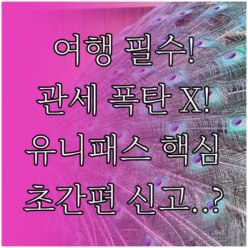 유니패스로 끝내는 해외여행자 휴대품 ..