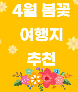 25년 4월 봄꽃여행지추천!!벚꽃 &amp; 유채꽃 절정! 봄꽃 여행지 BEST 6