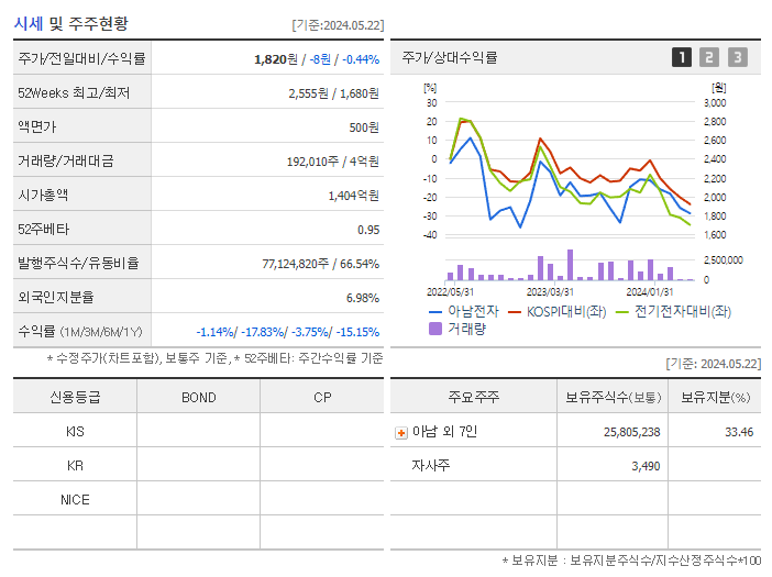 아남전자_기업개요