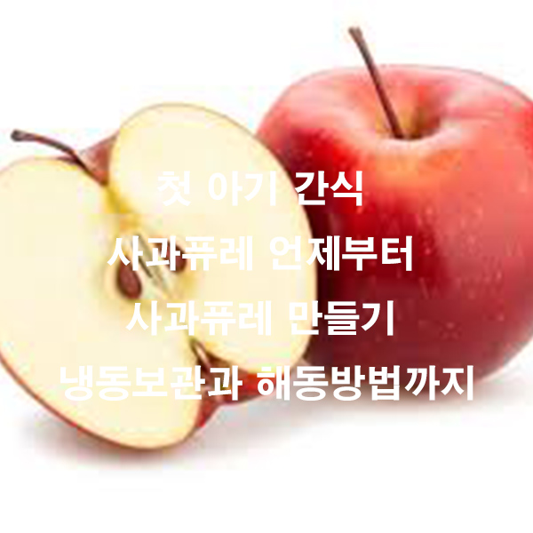 첫 아기 간식 사과퓨레 언제부터 사과퓨레 만들기 냉동보관과 해동방법까지