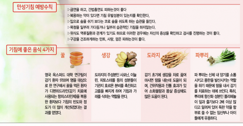 기침에 좋은 음식 표 이미지