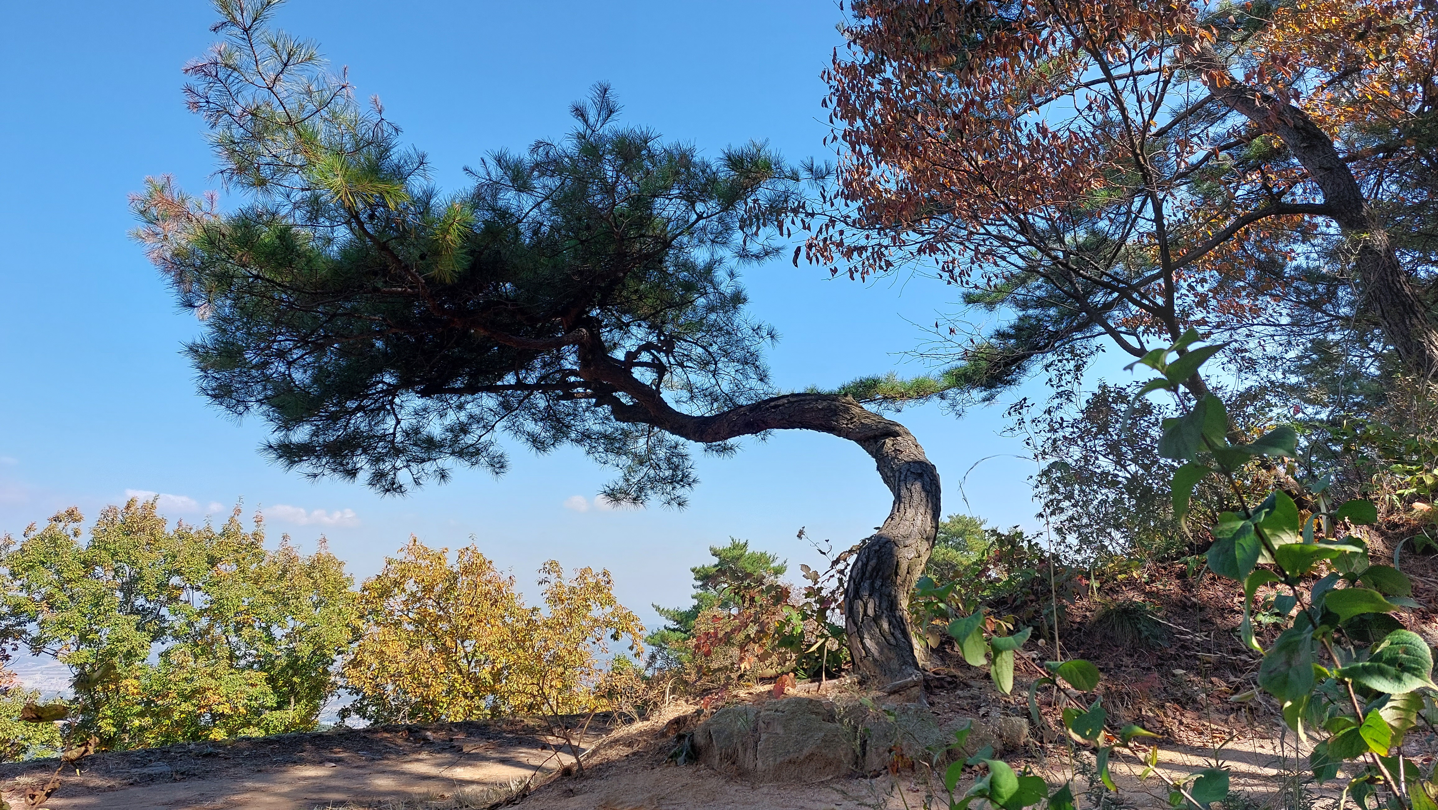 상당산성