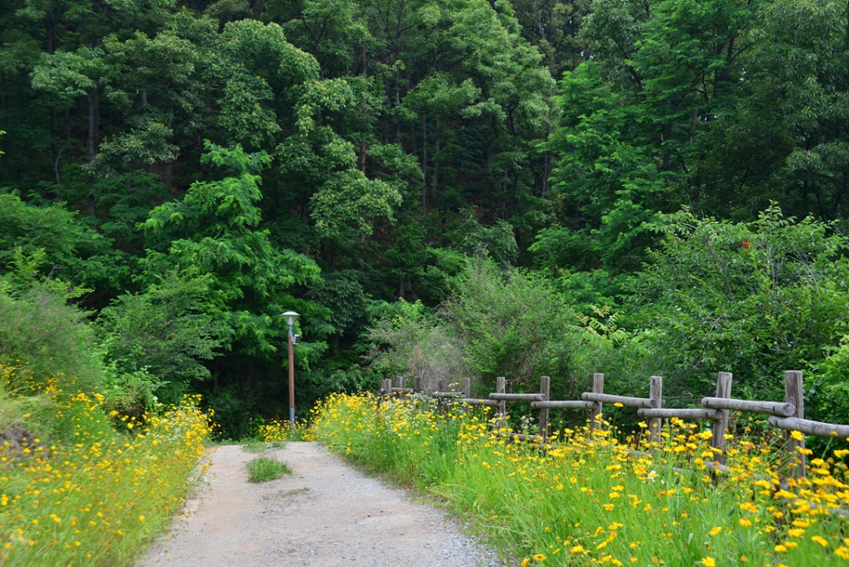 국내 트레킹 장소