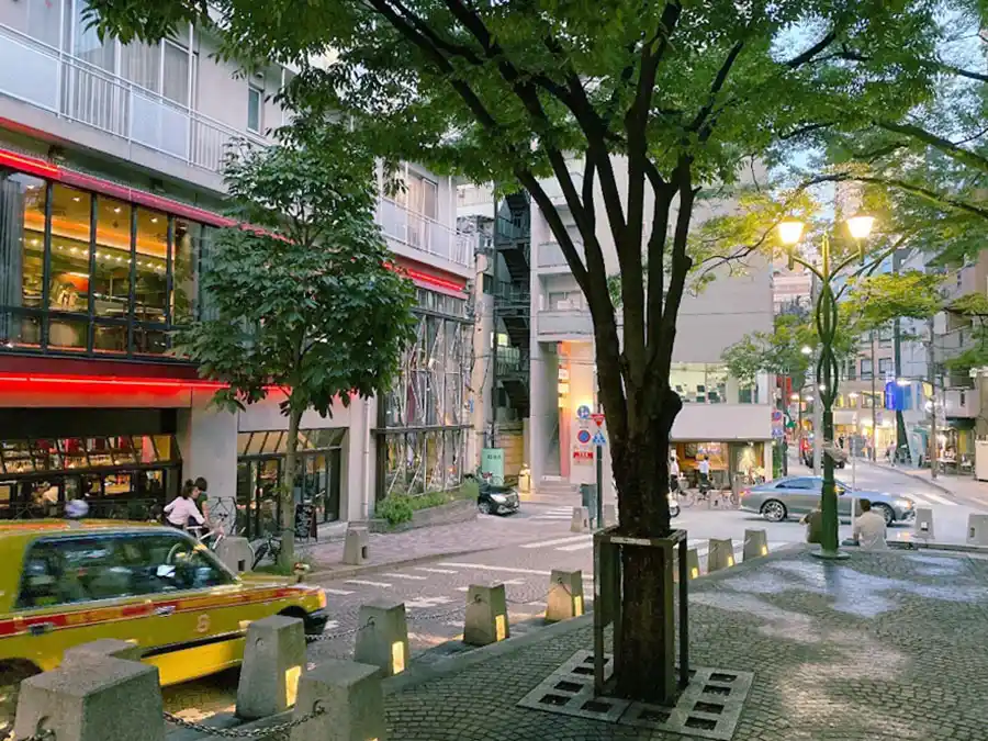 아자부주반, 모토아자부 지역