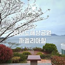 통영 가볼만한곳 - 장사도해상공원까멜리아