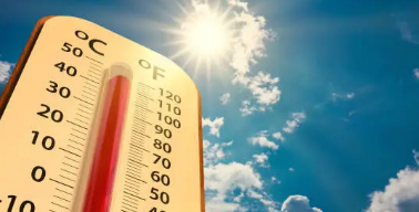 더위먹었을때 증상