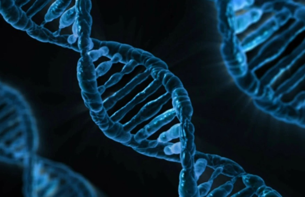 유산균의 효능과 건강에 미치는 영향 및 섭취 시 주의할 점 관련 사진