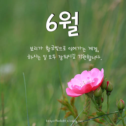 보리인사