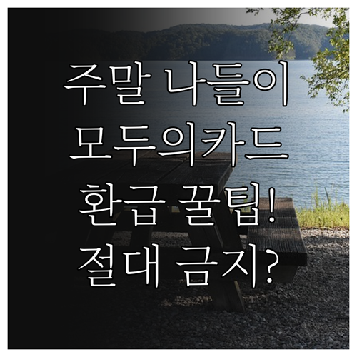 주말 나들이 필수품 모두의카드 환급 ..