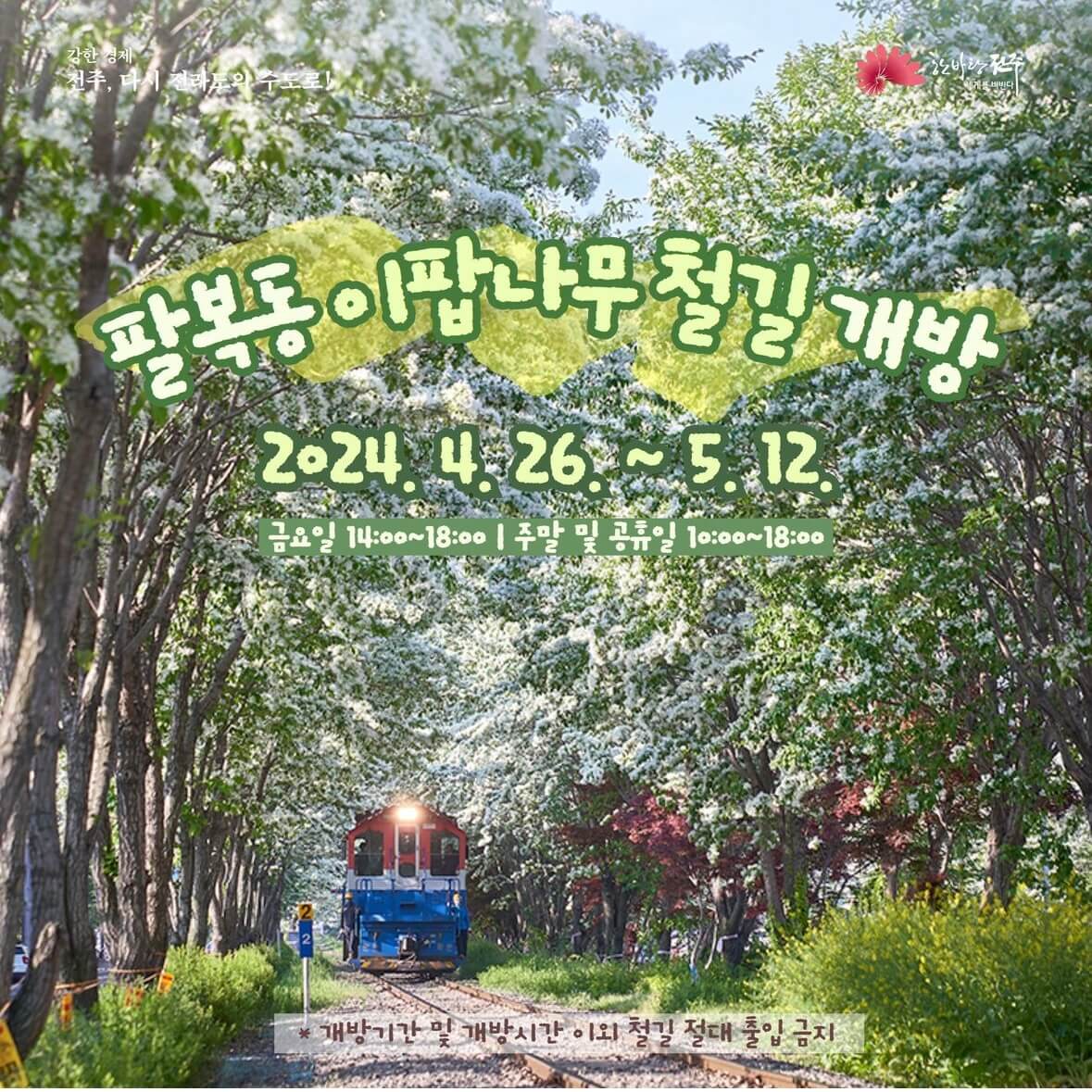 전주 이팝나무 철길