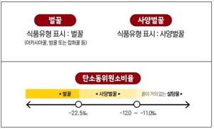 천연 벌꿀