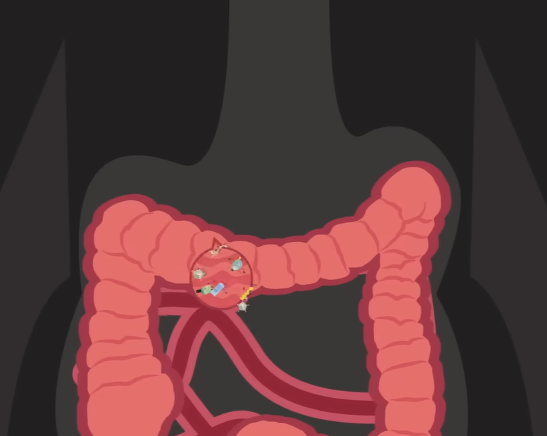 마이크로 바이옴이란